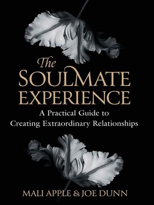 cover image of The Soulmate Experience